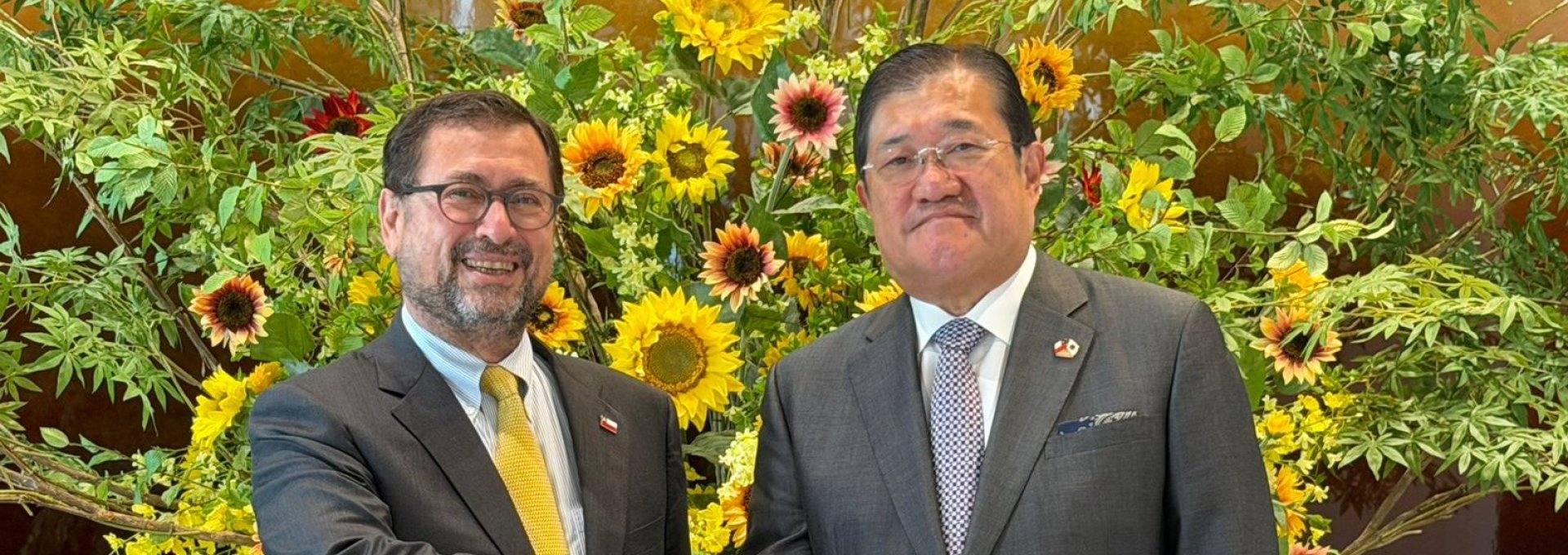 Ministro Pérez Mackenna invita a grandes empresas japonesas a invertir en Chile