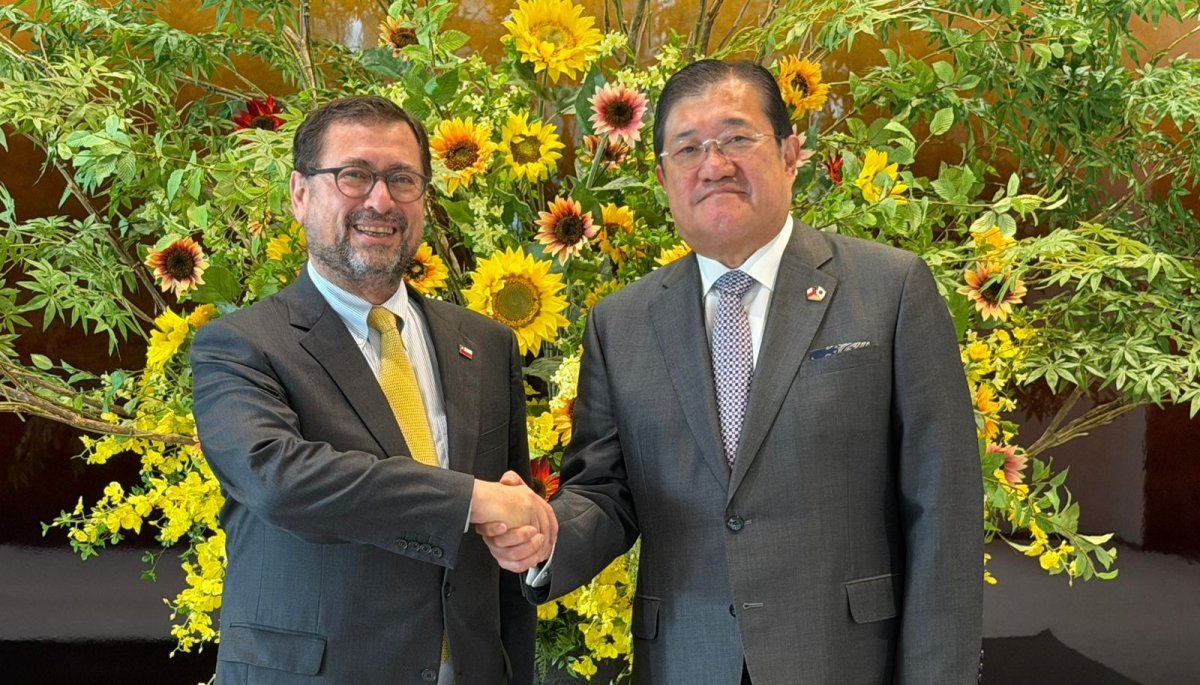 Chile Seeks Japanese Investment Amid Rebuilding Push