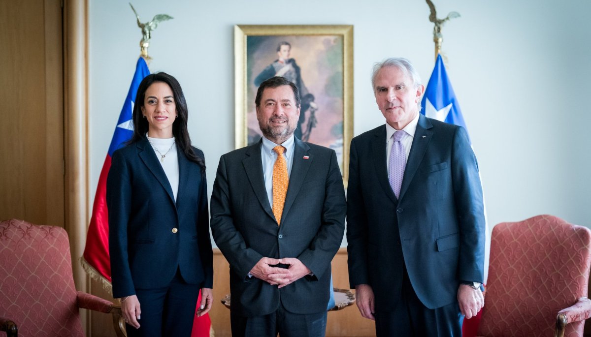 Minister Pérez Mackenna Meets with Senate Leaders to Discuss Foreign Relations Contingency
